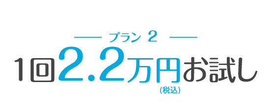 1回2万円(税込22,000円) お試し